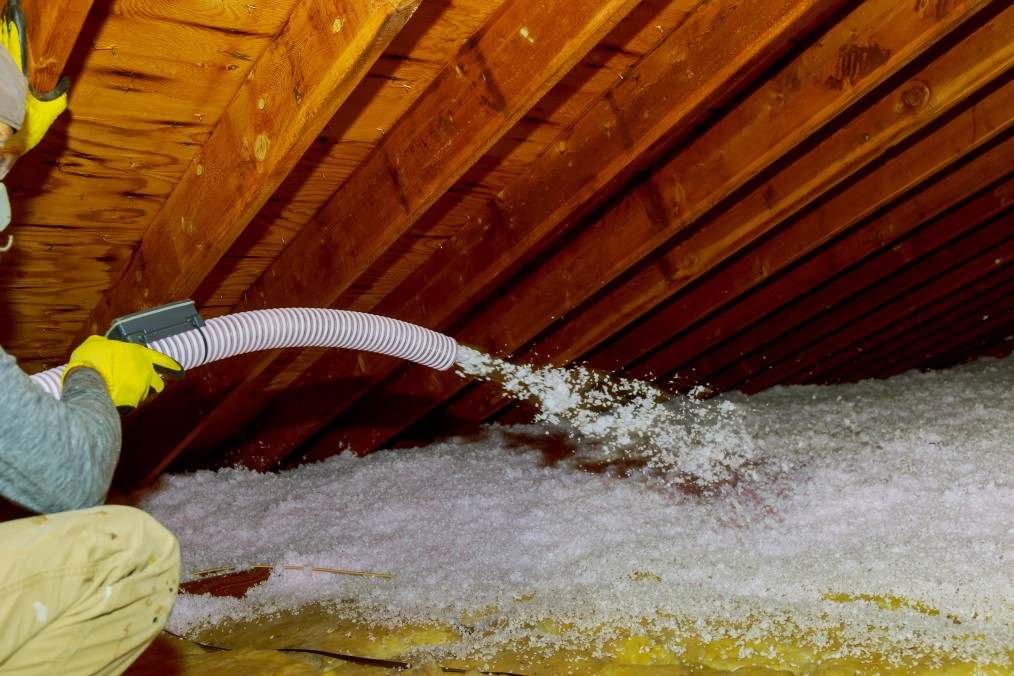 How do you decontaminate an attic